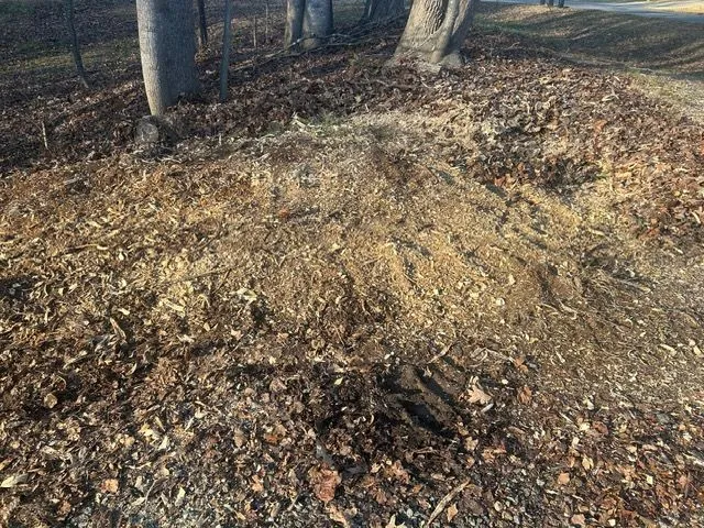 Stump removal
