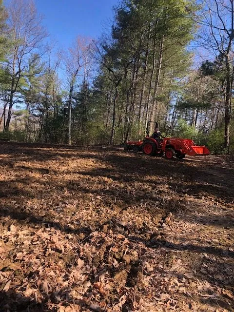 Orange tractor clearing a wooded property